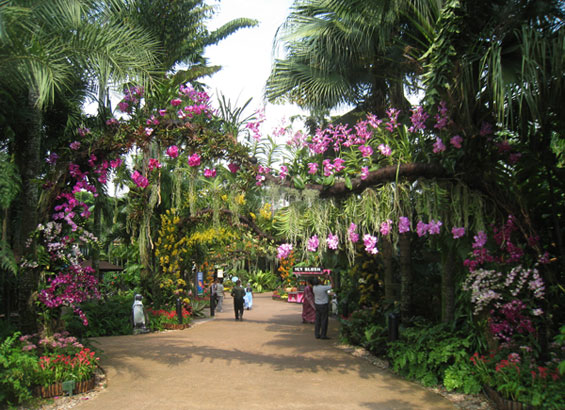 Orchid Arch | Jurong Hill Singapore | Jurong Bird Park