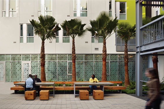 Drs. Julian and Raye Richardson Apartments | San Francisco USA | Andrea Cochran Landscape Architecture