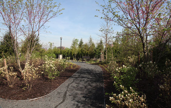 Newport Green | Newport USA Mathews Nielsen Landscape Architects