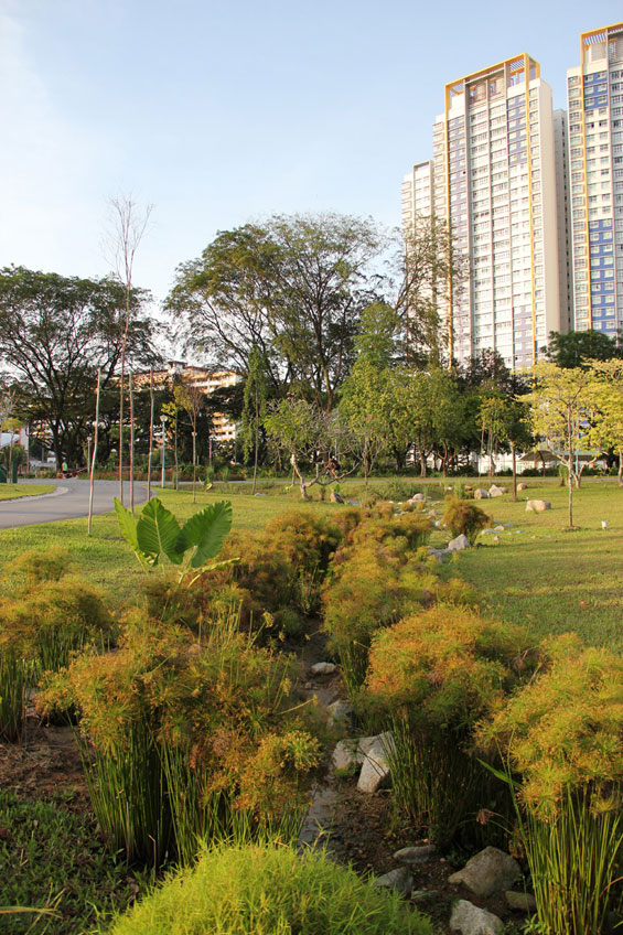 Kallang River Bishan Park | Singapore | Atelier Dreiseitl