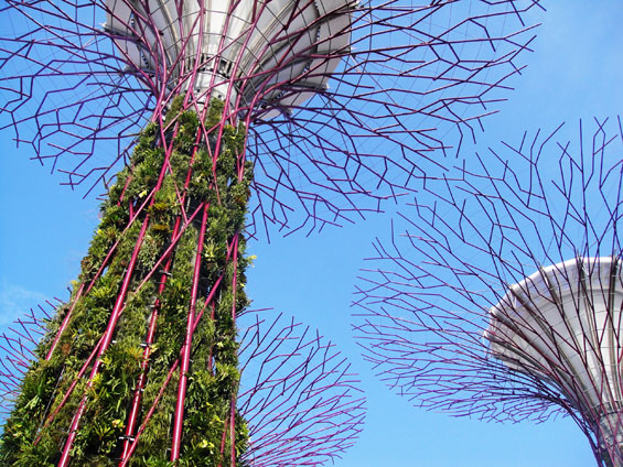 Gardens by the Bay | Singapore | Grant Associates