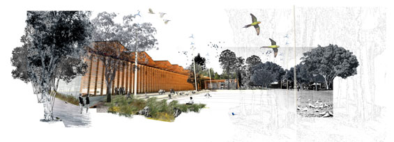 Perry Park Design Competition | Sydney Australia | HASSELL
