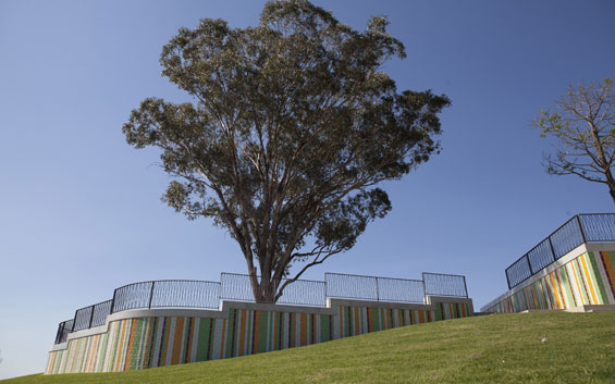 Jacaranda Park | Sydney Australia | JMD Design