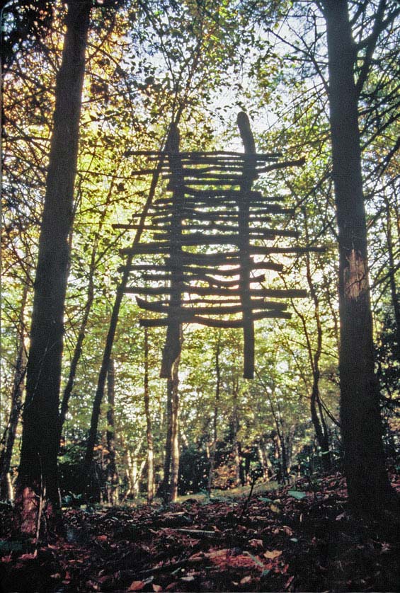 A Walk in the Woods-Jon Piasecki