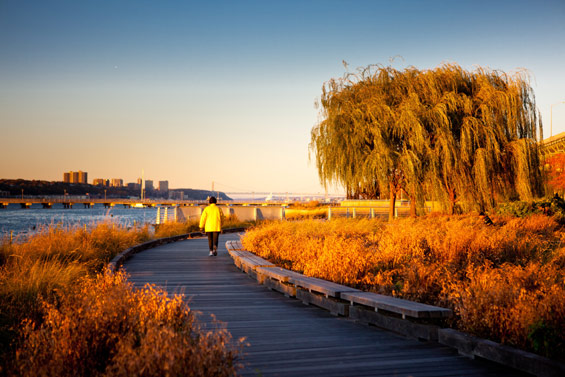 Riverside Park South Waterfront | New York | Thomas Balsley Associates
