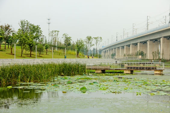 Lotus-Lake-Park_IPD_Kunshan_02
