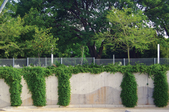 Retaining-wall-with-soft-planting
