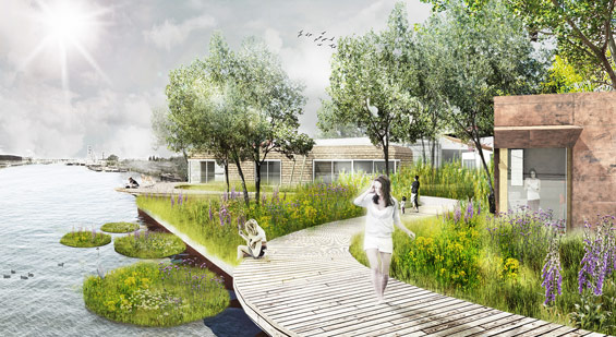 ©-DELVA-Landscape-Architects---Purifying-Park-de-Ceuvel---Phyoremediation---Buiksloterham---Amsterdam-