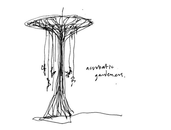 Andrew-Grant-Sketch-supertree-acrobatgardeners