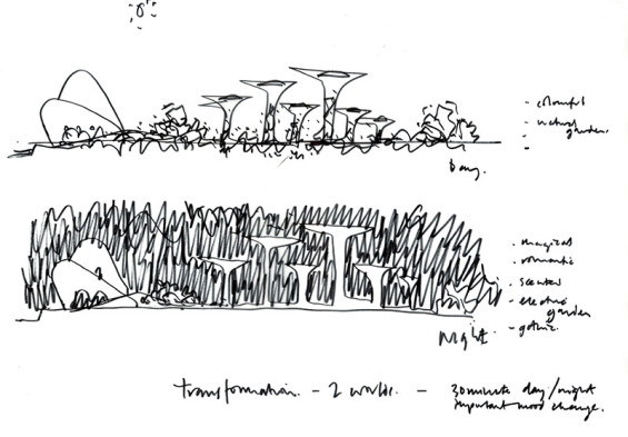 Andrew-Grant-Sketch-supertree-transformation