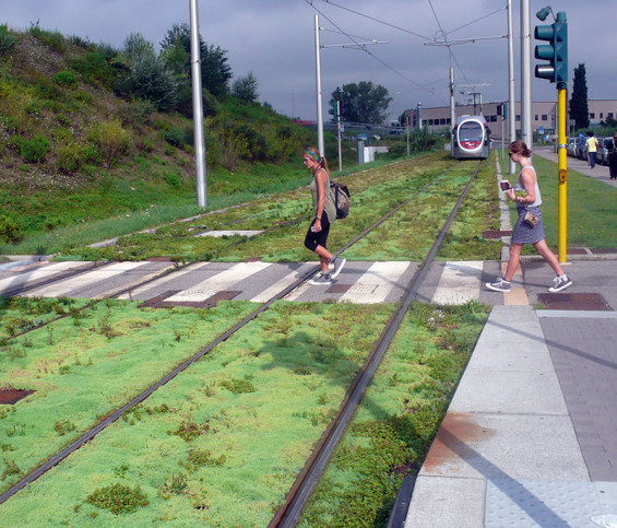 I.Romitti---Green-tramway---6