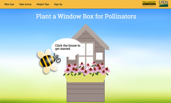 Plant-A-Window-Box