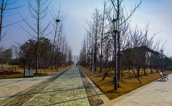 Ferry-Culture-Park–Guangdong-ZhongJian-Design-Company9