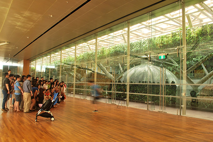 National Gallery Singapore--for-WLA-b