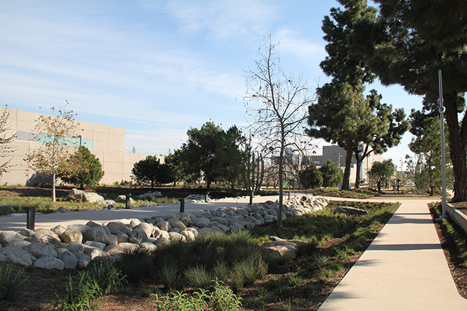 Community Health And Wellbeing, City Of Santa Monica Landscape Requirements