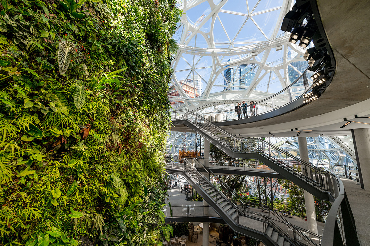 The Spheres Exploring Biophilia In The Modern Workplace