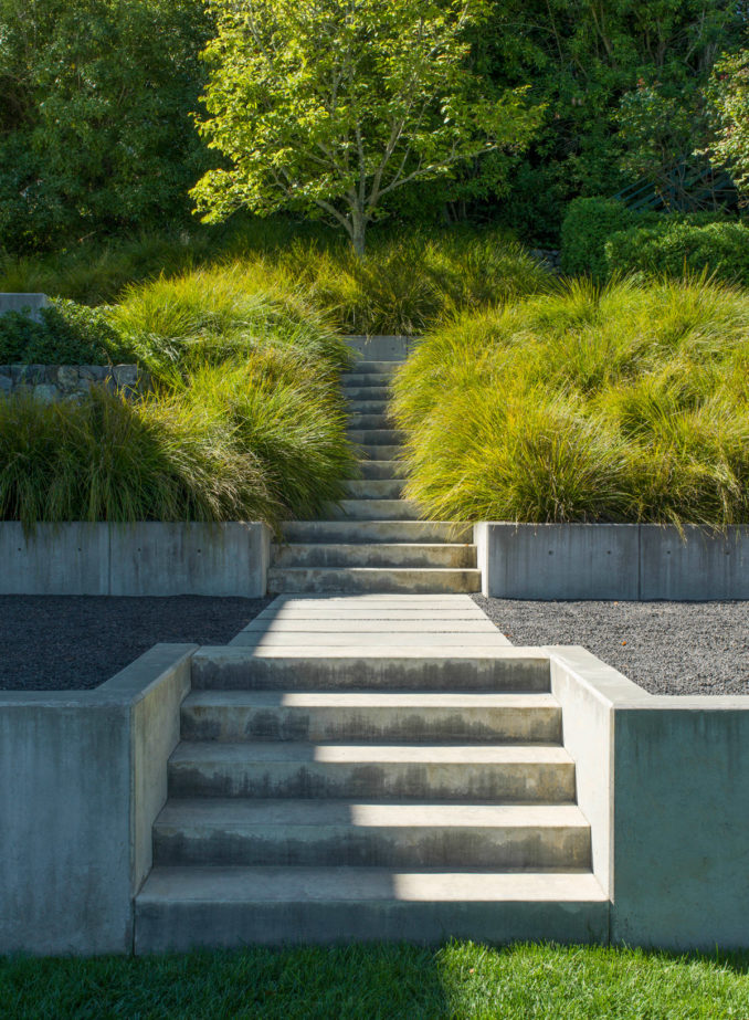 Marin County Modern steps