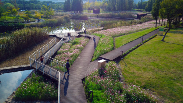 Ningbo Eastern New Town Ecological Corridor | Turenscape