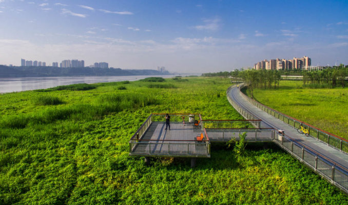 Marshland Park along Xiangjiang River