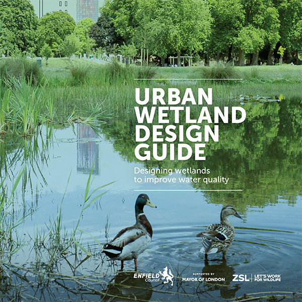 Urban Wetland Design 