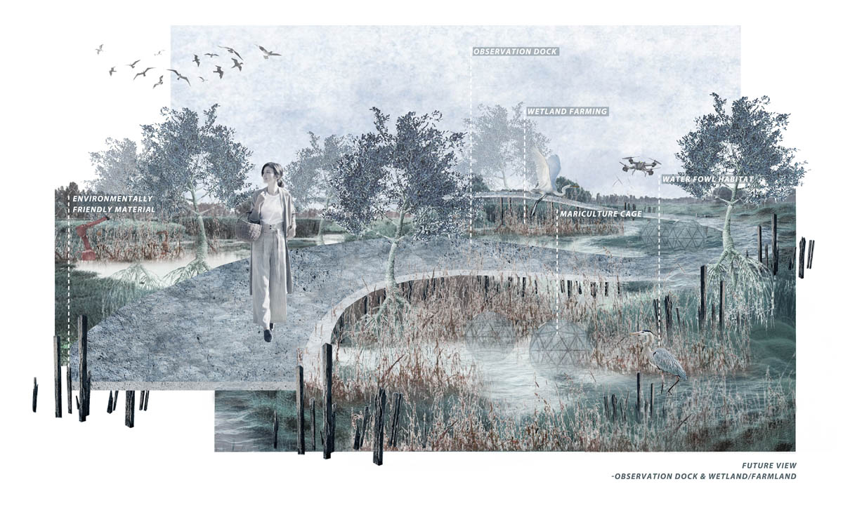 Student Project | Hybrid wetland farming | Liang Shi and Xuan Zhang