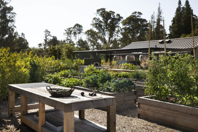 Farm to Table - raised vegetable beds