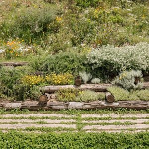 Forest path in the Roques Blanques Cemetery | Barcelona, Spain ...