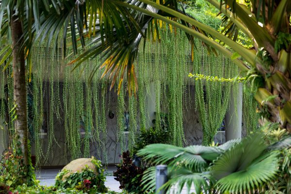 Gardens by the Bay marks the first 10 years