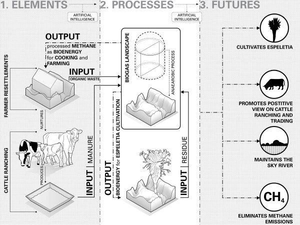 Student Project | Cattle Futures | Chinh Pham