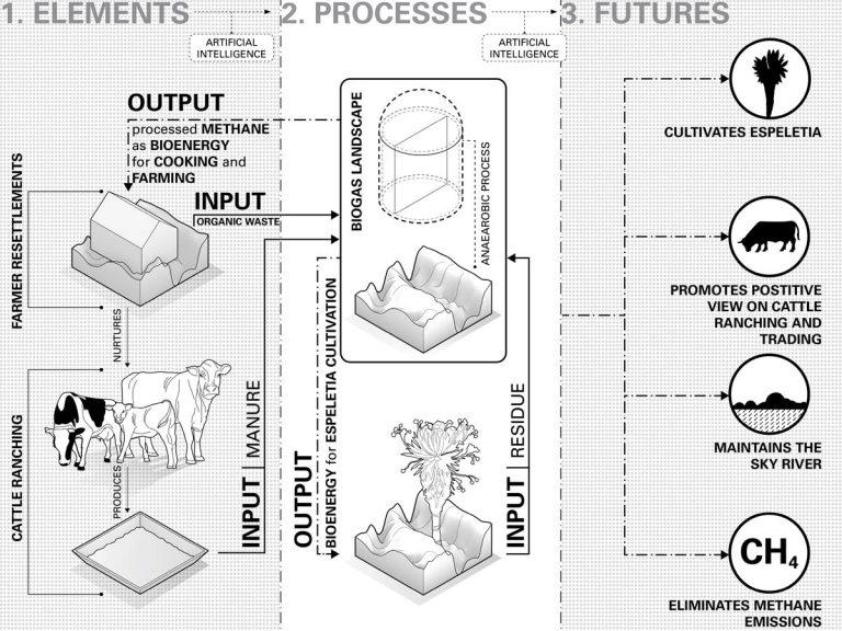 Student Project Cattle Futures Chinh Pham