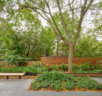 Whitby Garden | Toronto, Canada | Jennifer Turner Architect