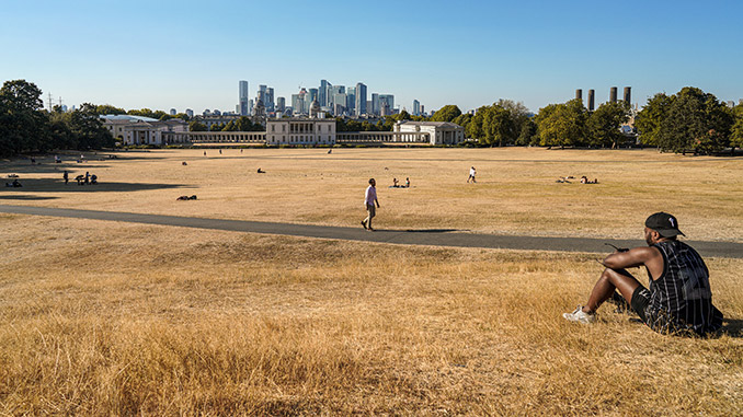2023 Trends - Drought
Greenwich Park, London - Copyright Alisdare Hickson