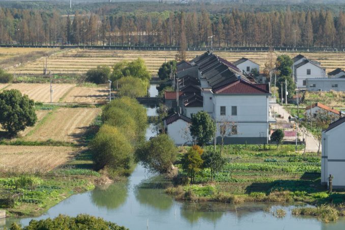 Yangtze Delta Polders