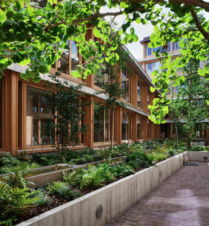 Appleby Blue - Landscape Architect: Grant Associates - Looking garden terraces in a internal courtyard 