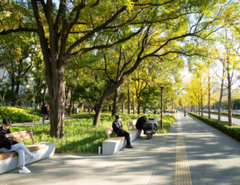 Zhongguancun Avenue Urban Park Renovation | Beijing, China | Instinct ...