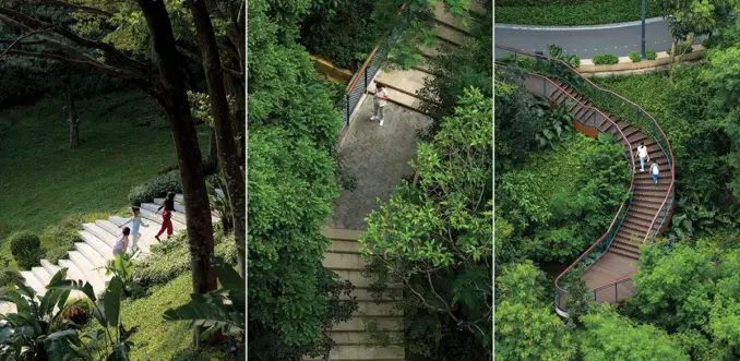 Honggang Park - steps and paths through forest