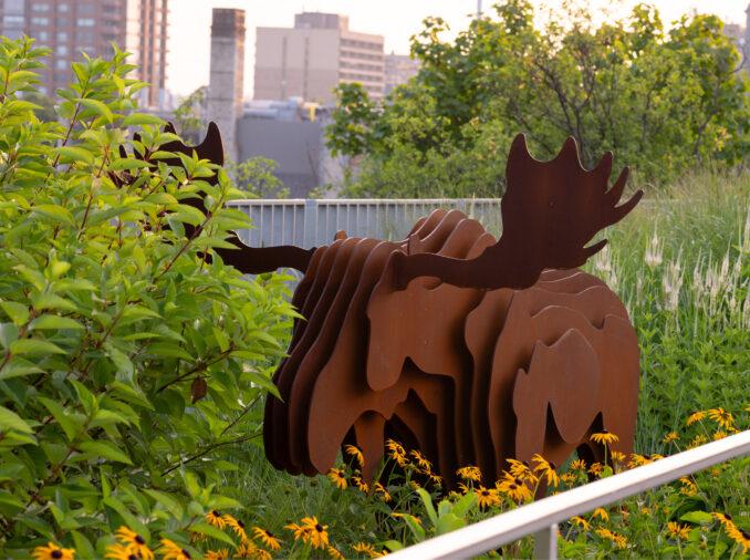 Kiweki Point-Ottawa-Canada Planting and Sculpture