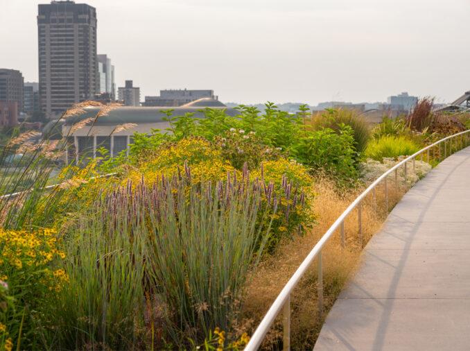 Kiweki Point-Ottawa-Canada View of planting design