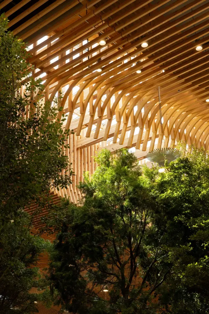 PDX Airport Main Terminal Ceiling Architecture with Timber Beams and Tree Canopies