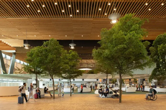 PDX Airport Main Terminal Landscape with Trees and Seating