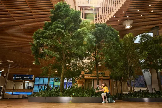 PDX Airport Main Terminal Landscape with Trees
