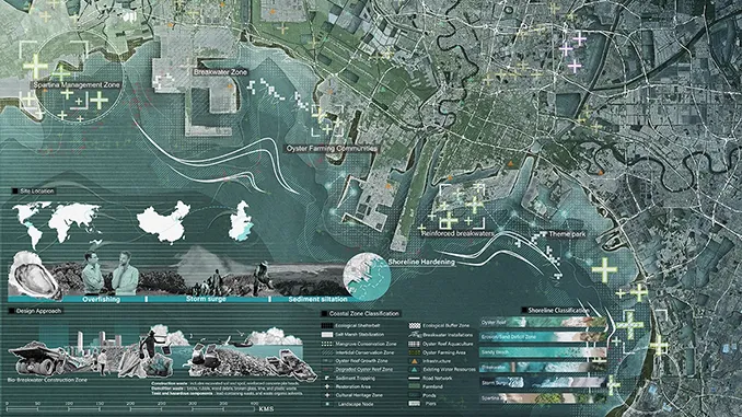 Oyster Islands, Living Seas: Kıyı Dirençliliği Stratejisi