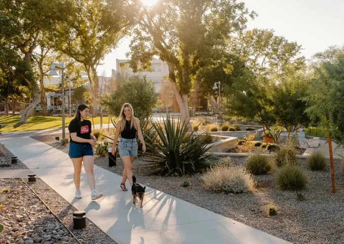 Shade Is No Longer an Amenity. It Is Critical Public Infrastructure.