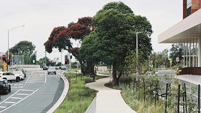 Frankston Hastanesi Yeniden Geliştirme Projesinde Kültürel ve Çevresel Peyzaj Yaklaşımı